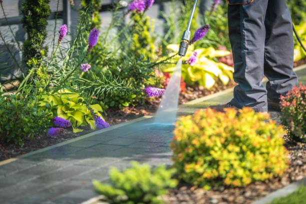  Schnecksville, PA Pressure Washing Pros